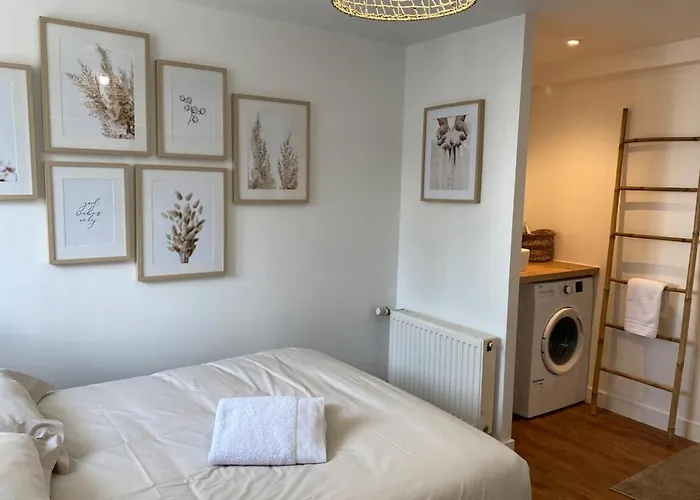 Cosy’s Sangnier